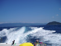 敦賀色浜・五目釣りがしたかったけど・・